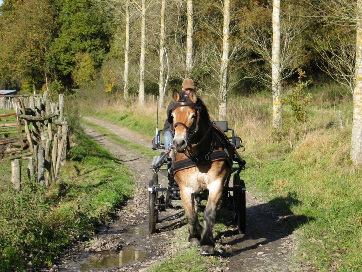 Independant Gite At The Calm Way In The Center Houffalize Extérieur photo